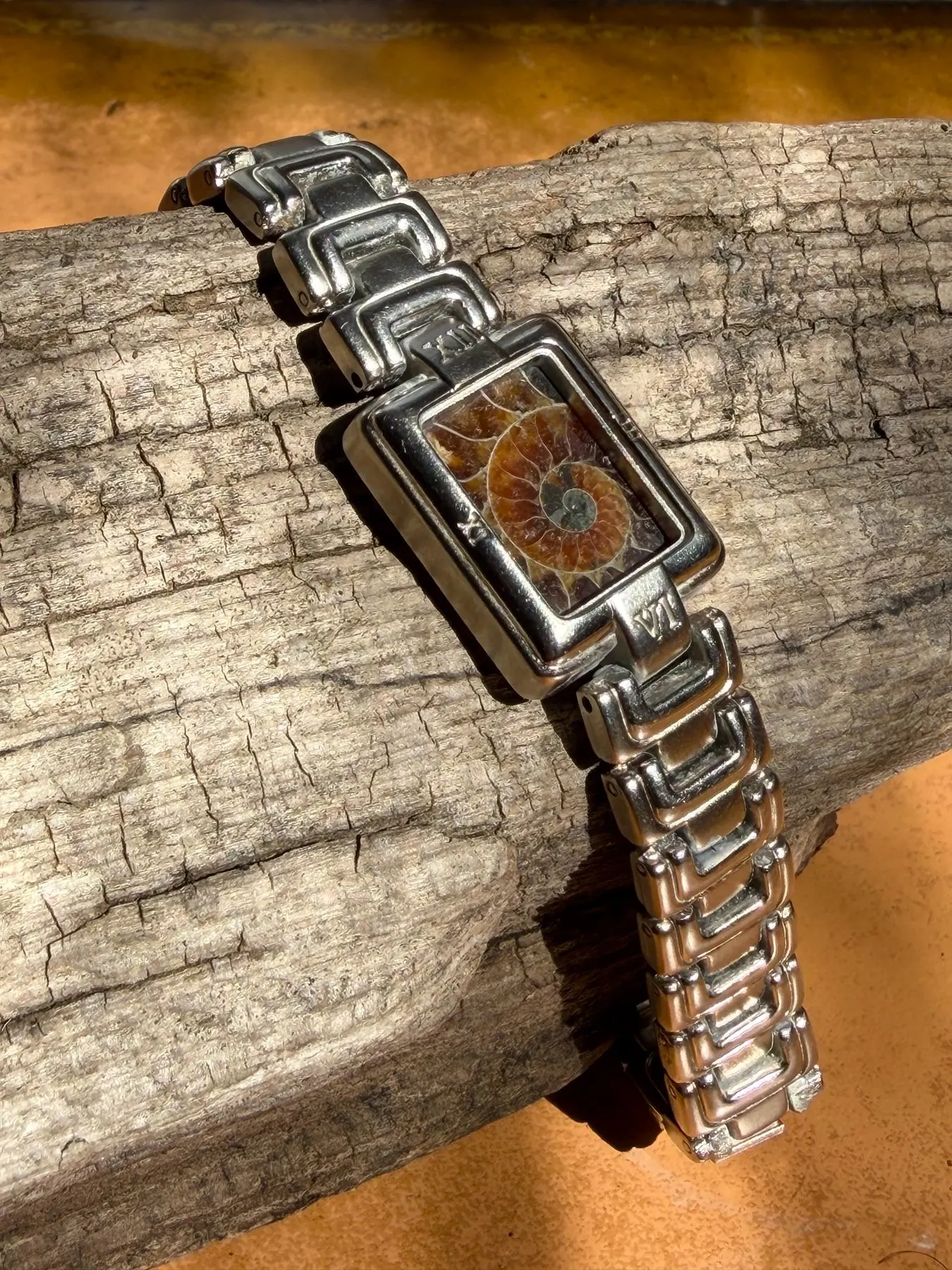 Avalonia — Ammonite Collection