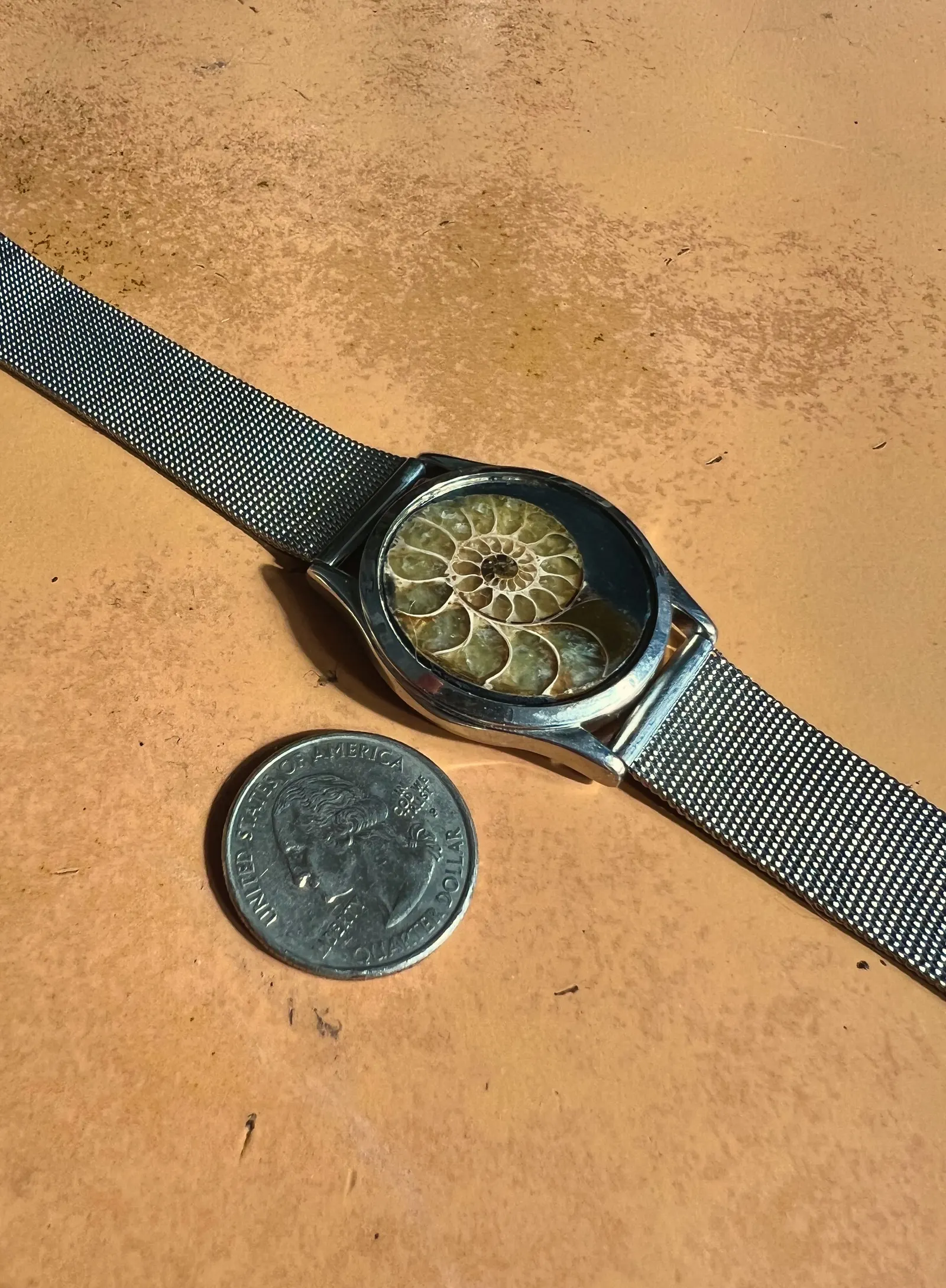 Iapetus — Ammonite Collection 3