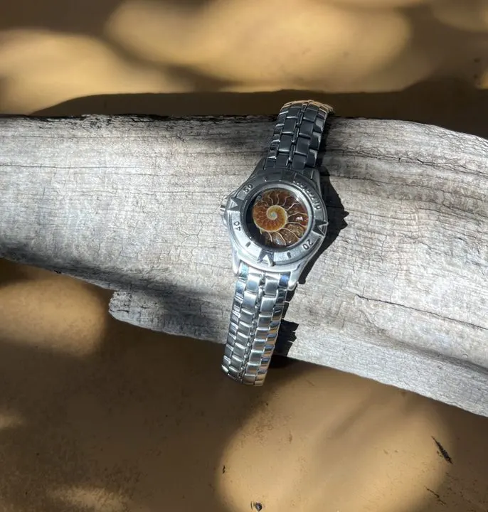 Laurasia — Ammonite Collection