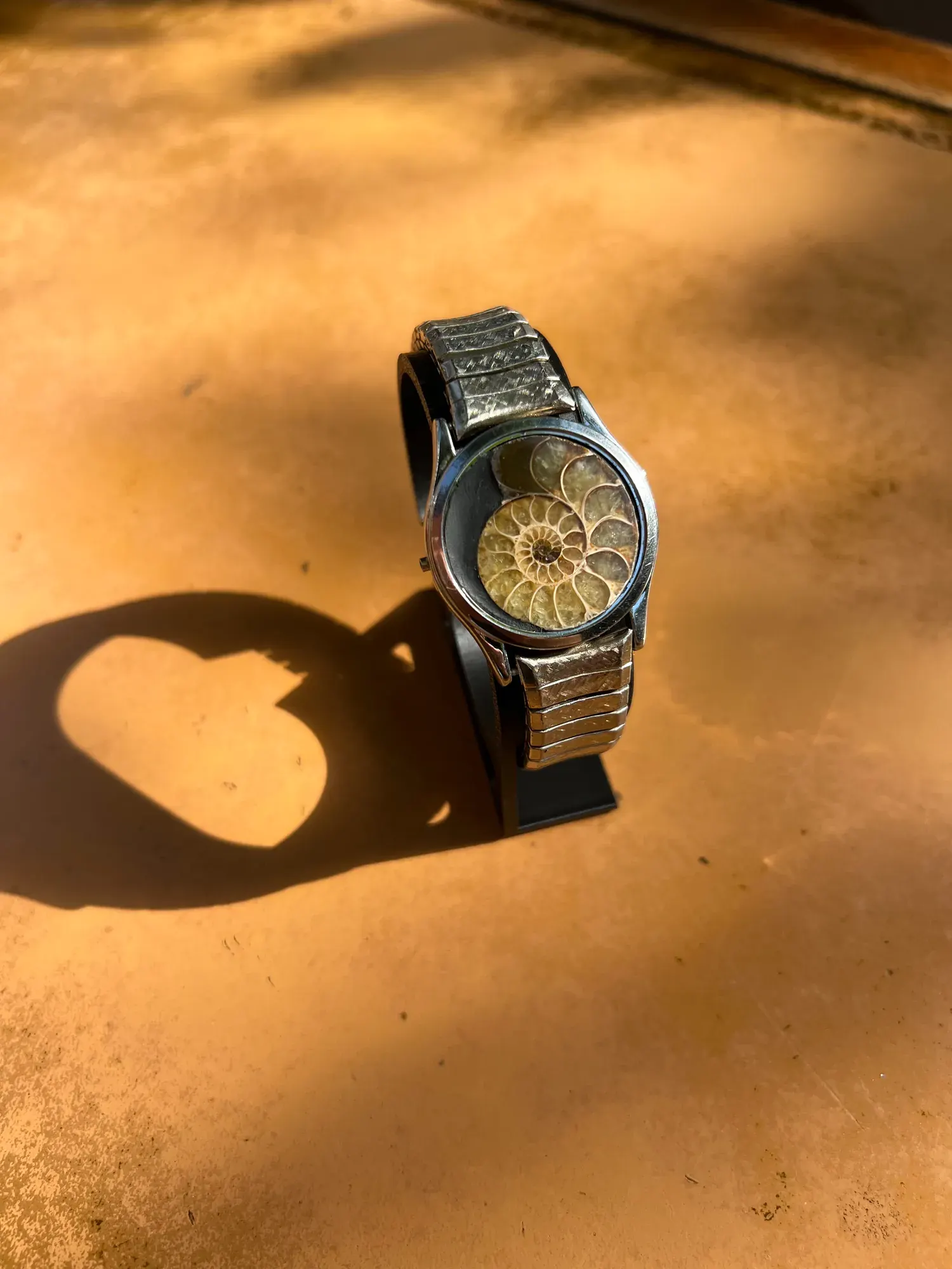 Laurentia — Ammonite Collection 3