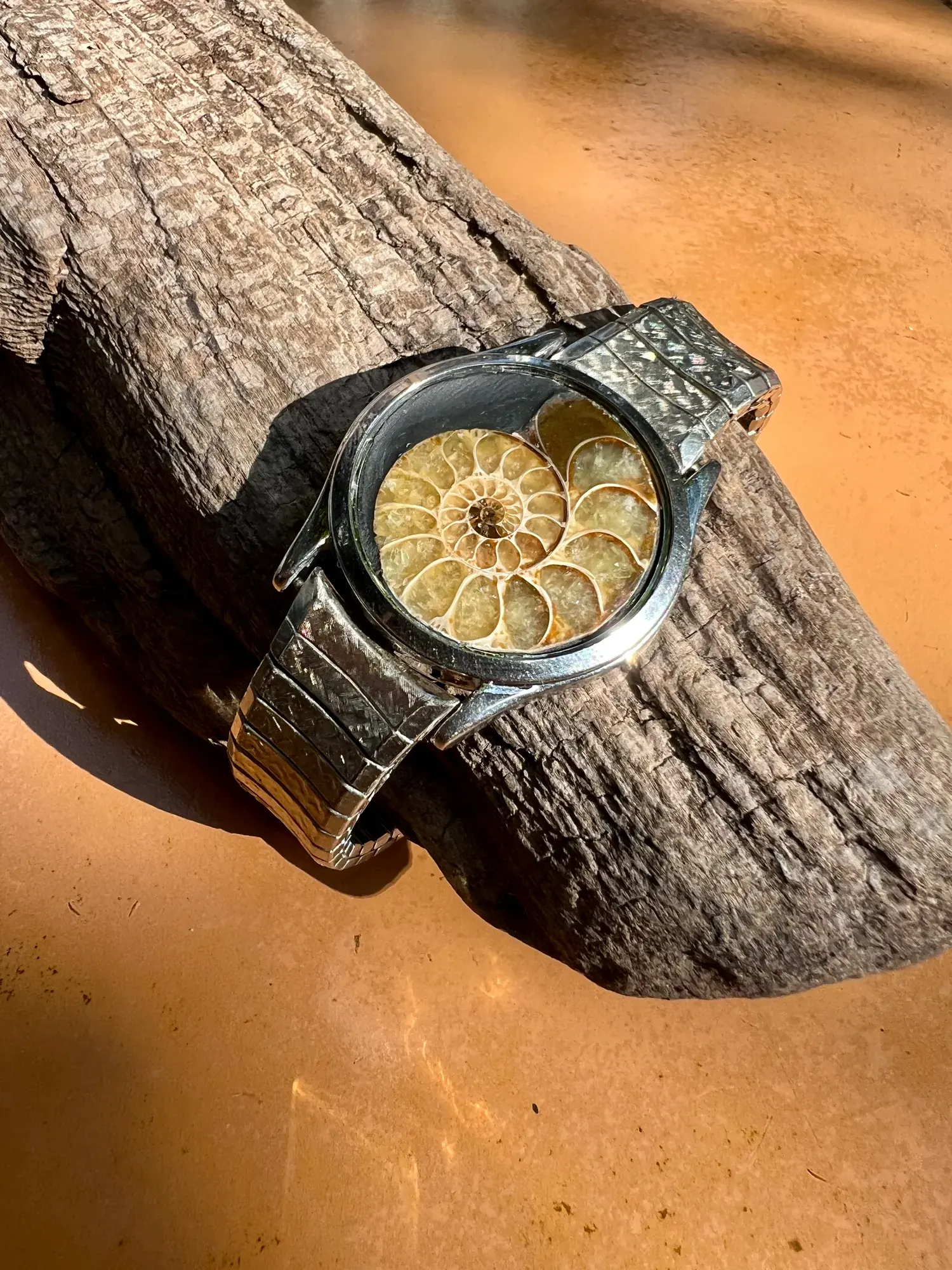 Laurentia — Ammonite Collection