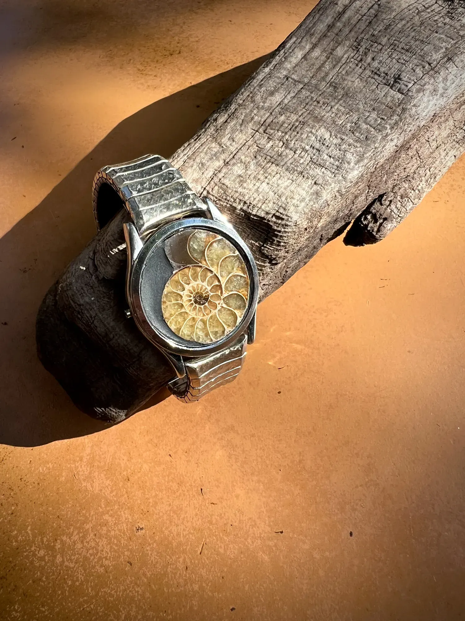 Laurentia — Ammonite Collection 4