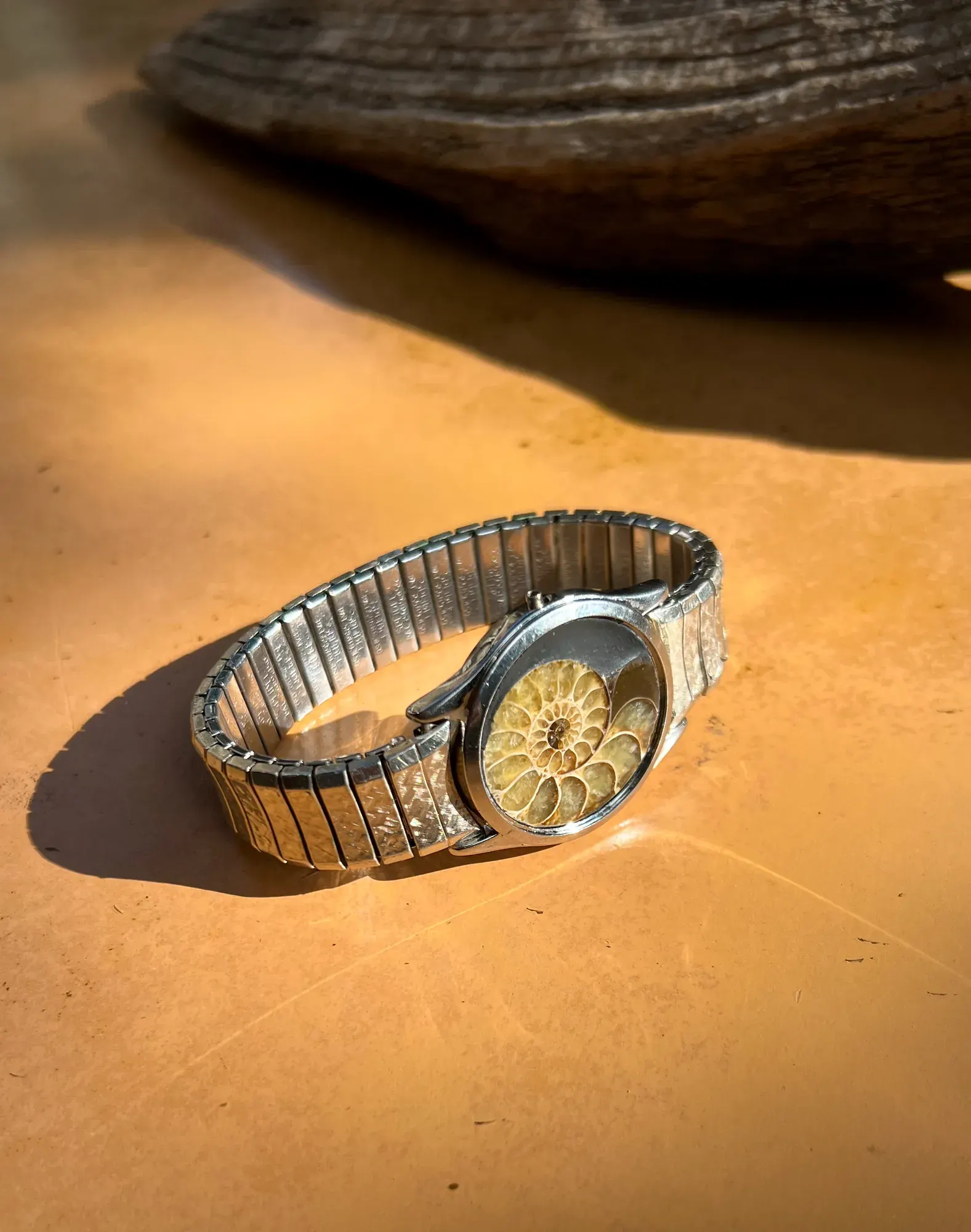 Laurentia — Ammonite Collection 5