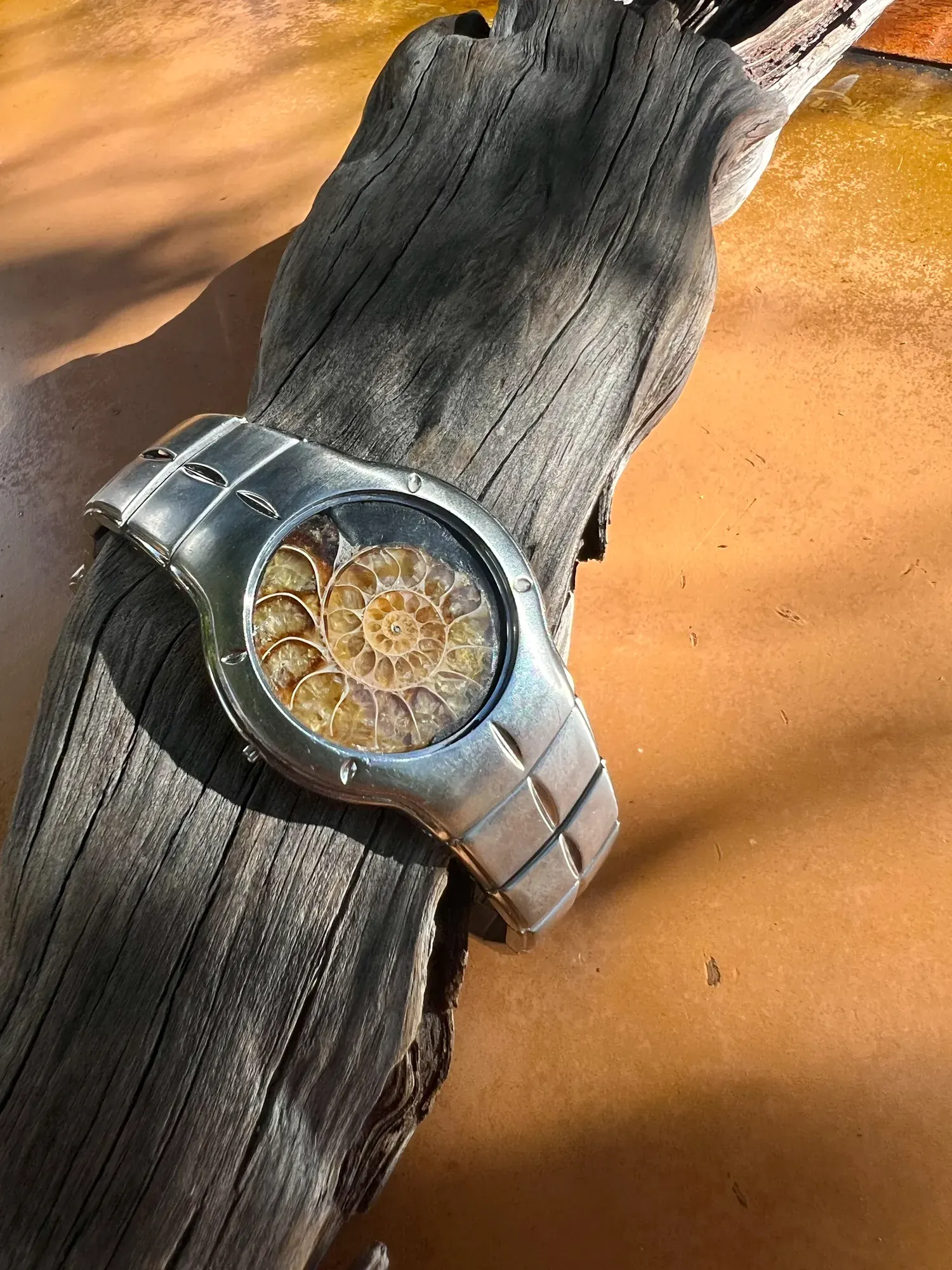 Panthalassa — Ammonite Collection