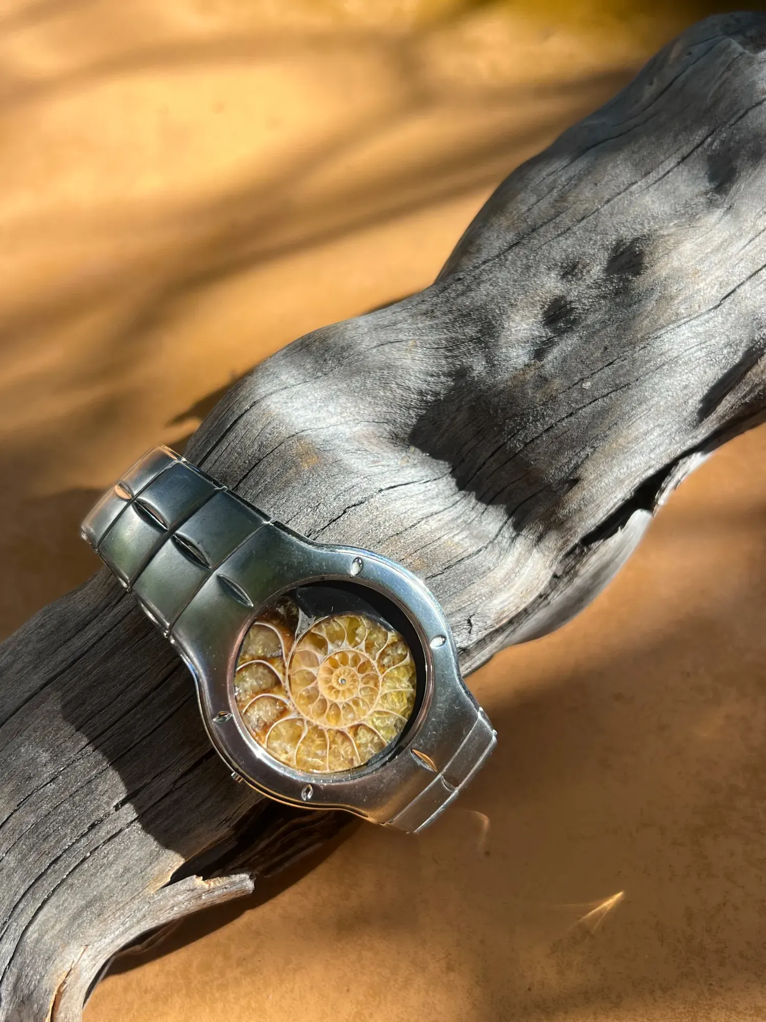 Panthalassa — Ammonite Collection 2