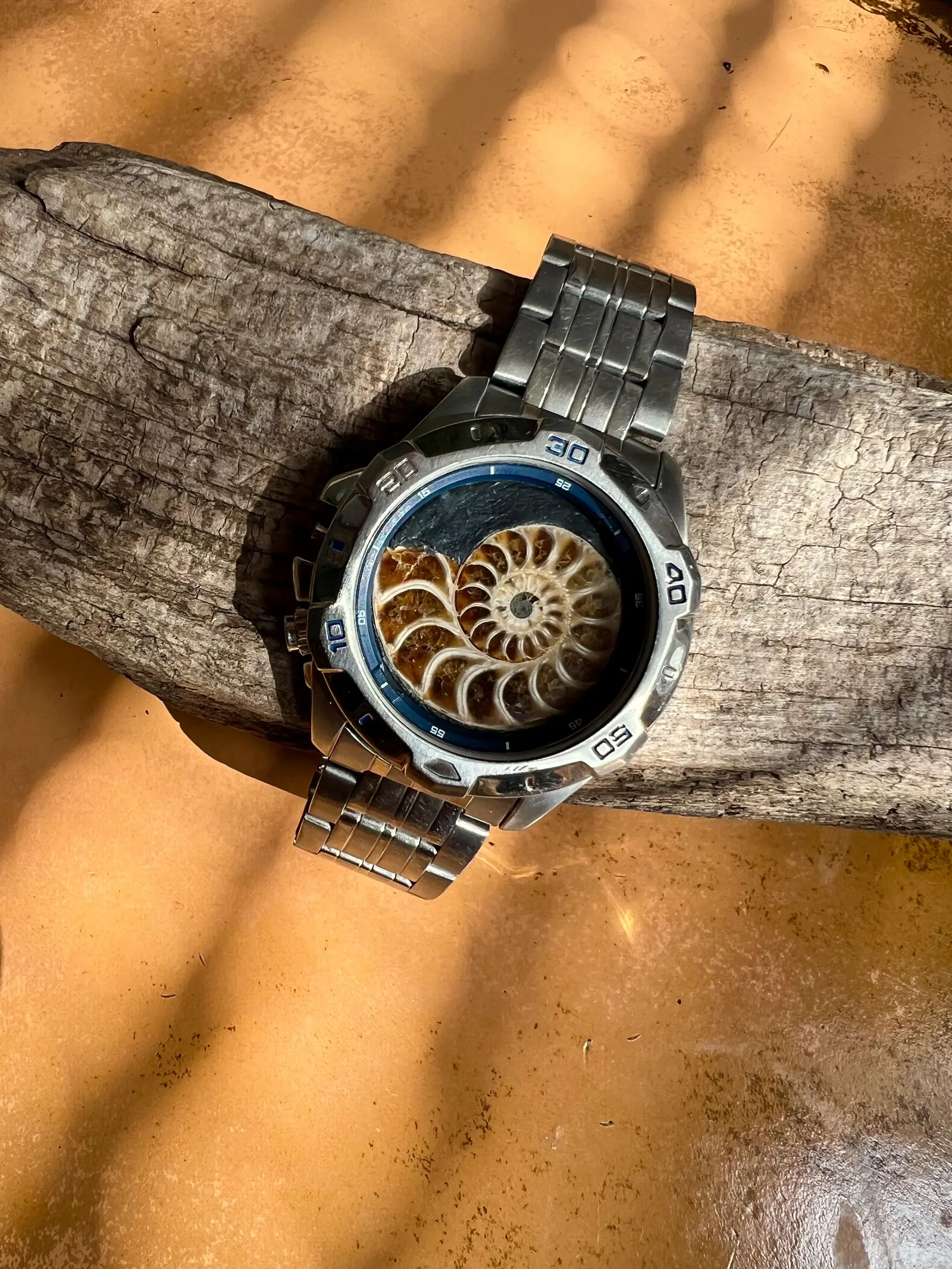 Rodinia — Ammonite Collection