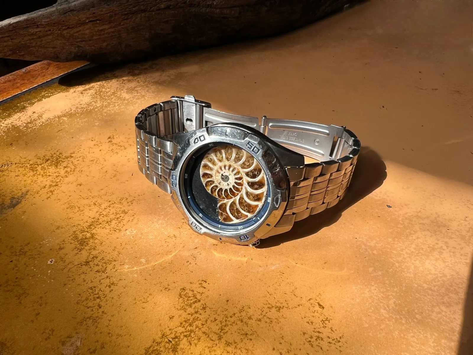 Rodinia — Ammonite Collection 2