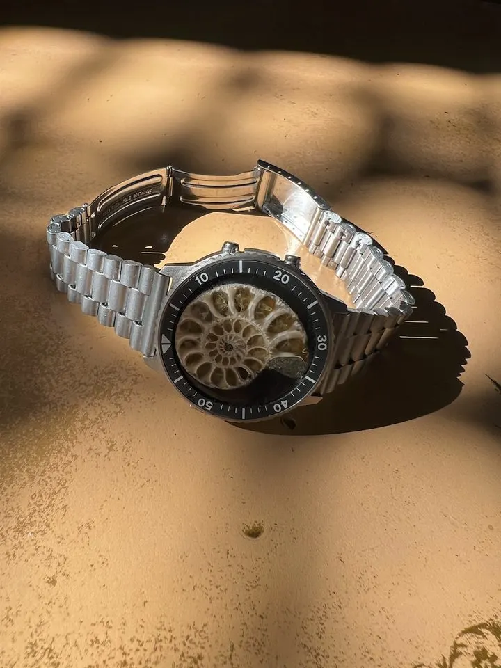 Tethys — Ammonite Collection 2