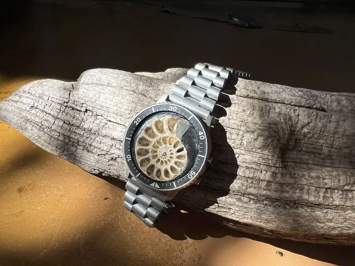 Tethys — Ammonite Collection 3