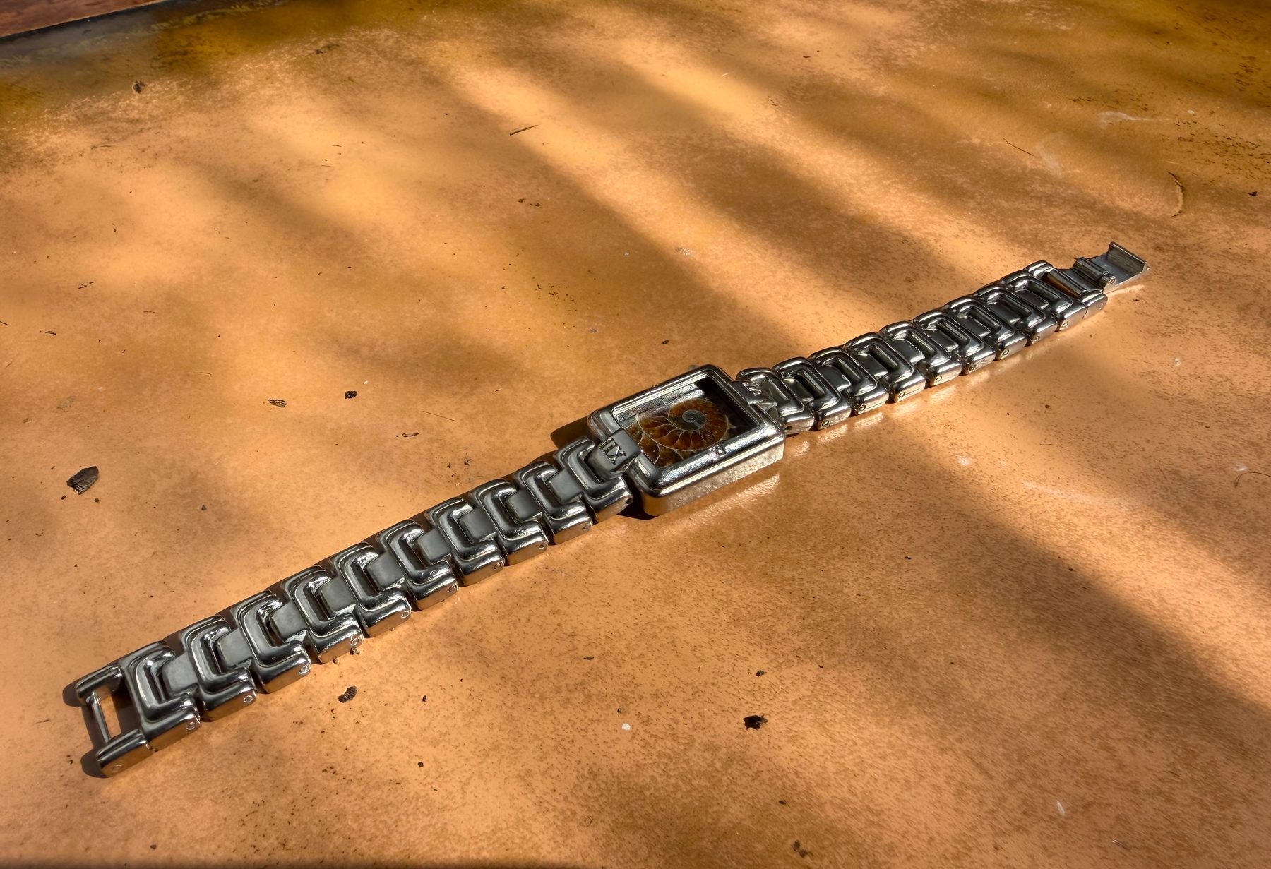 Avalonia — Ammonite Collection