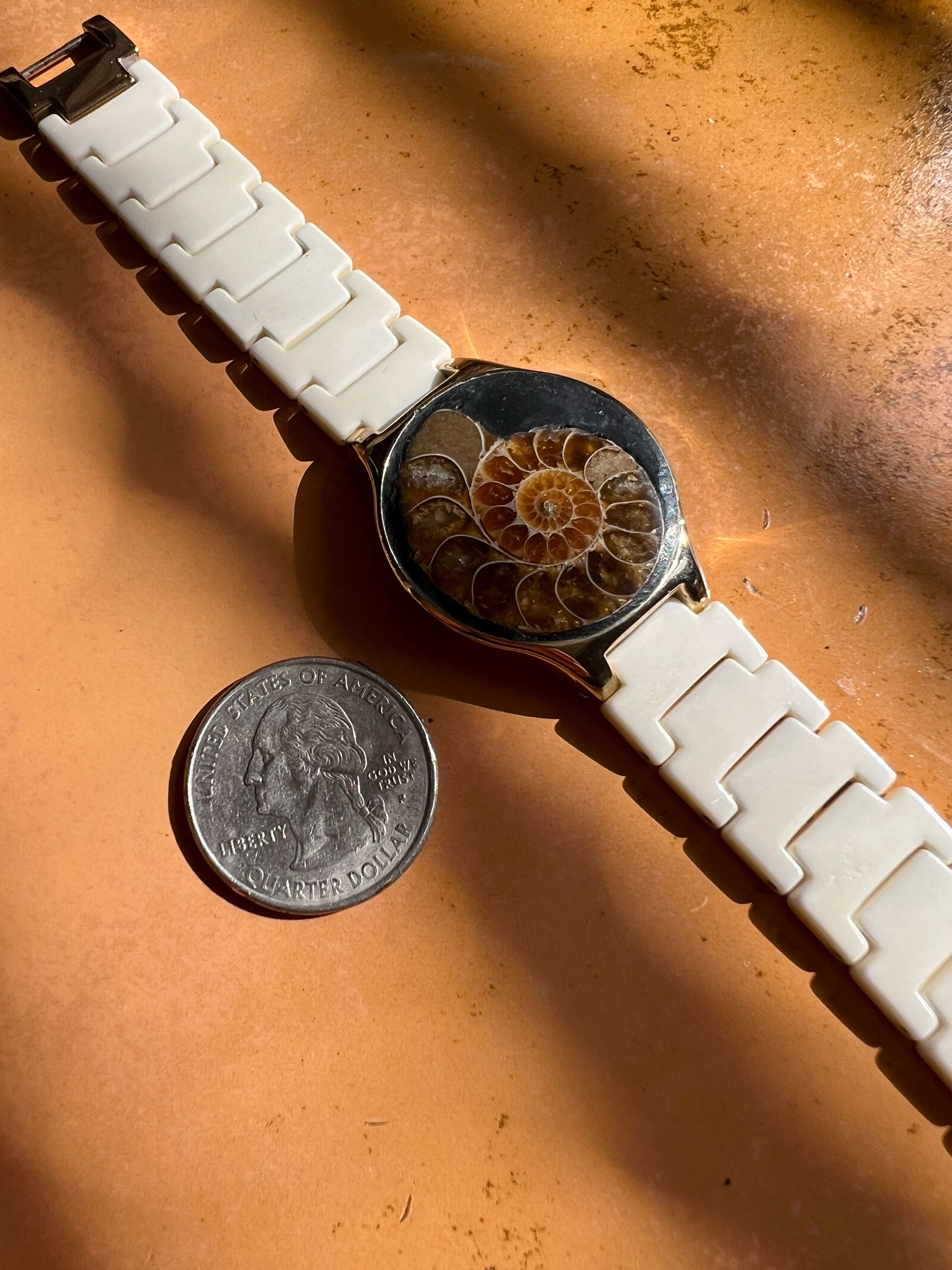Baltica — Ammonite Collection 2