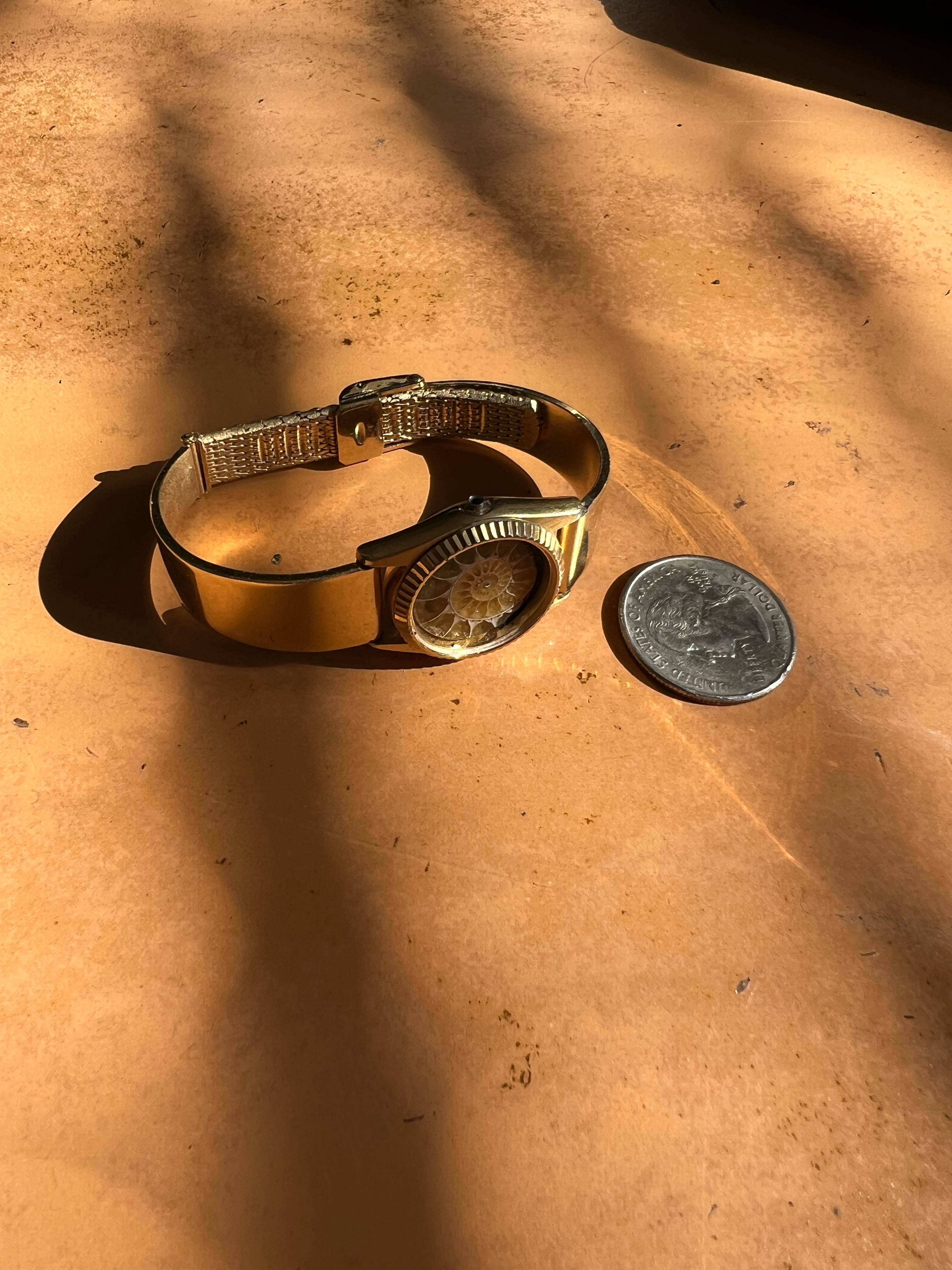 Cathaysia — Ammonite Collection 2