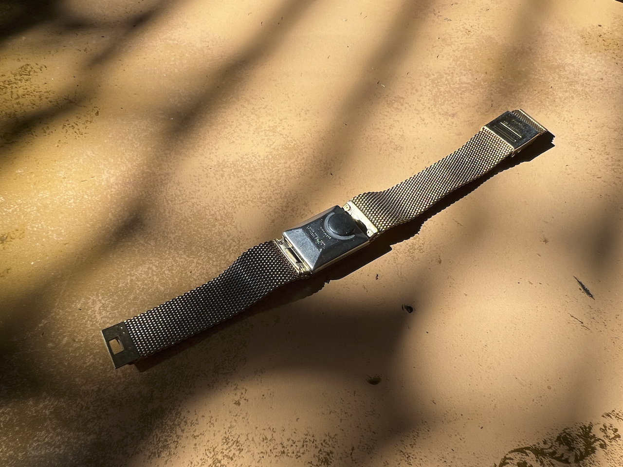 Ammonite Collection No. 91 2