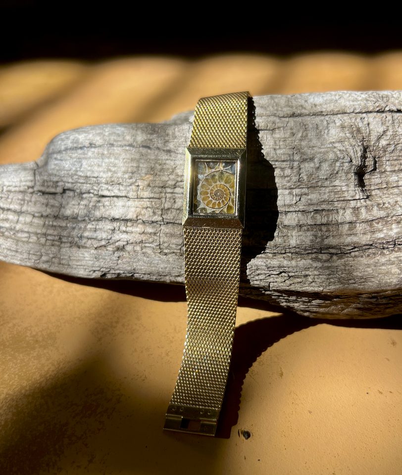 Gondwana — Ammonite Collection