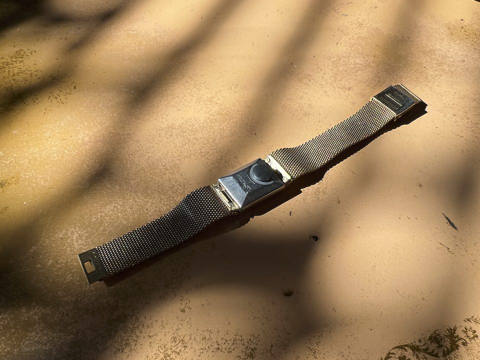 Gondwana — Ammonite Collection 2