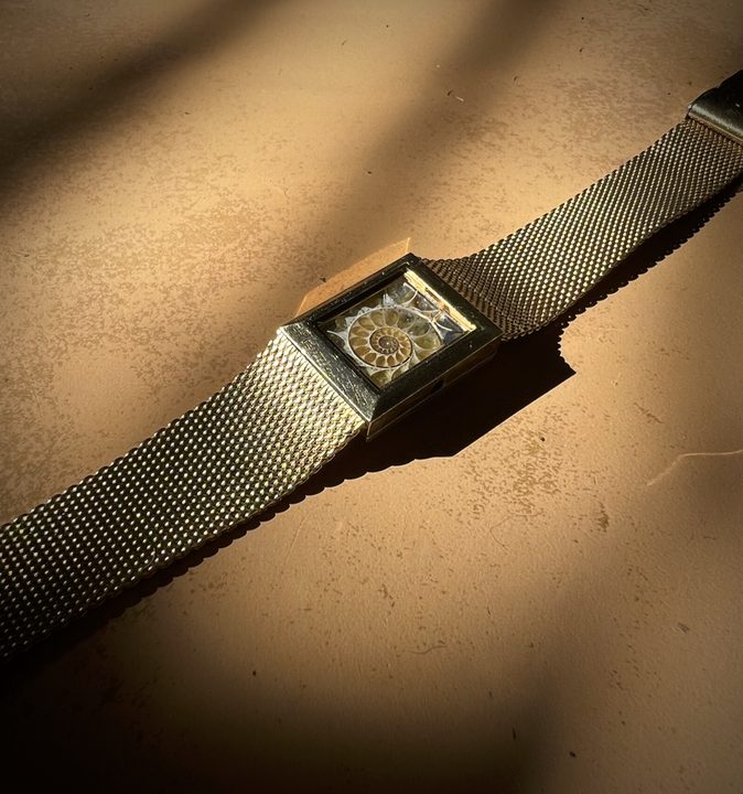 Gondwana — Ammonite Collection 3