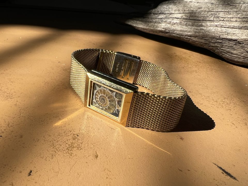 Gondwana — Ammonite Collection 5