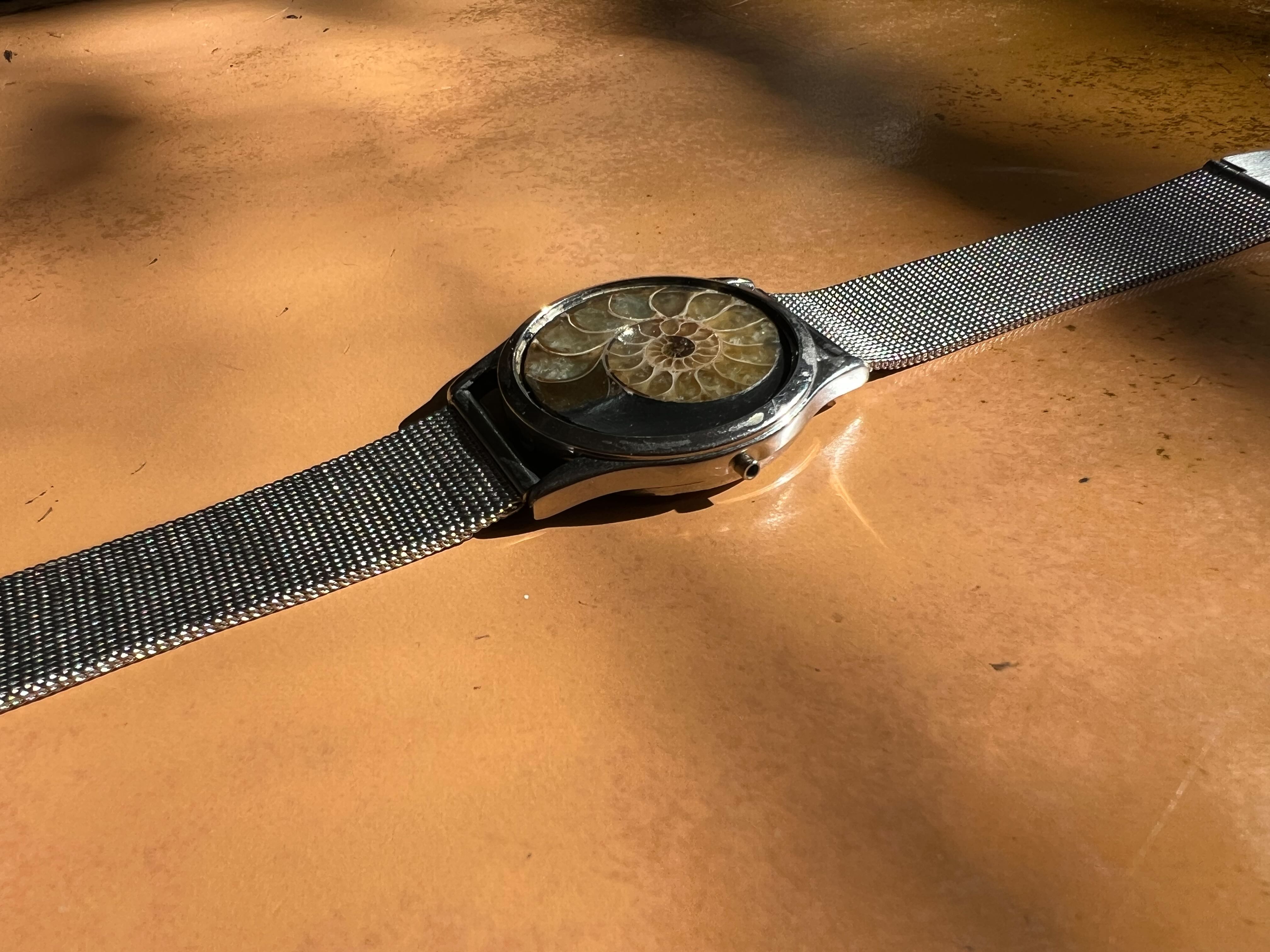 Iapetus — Ammonite Collection 2