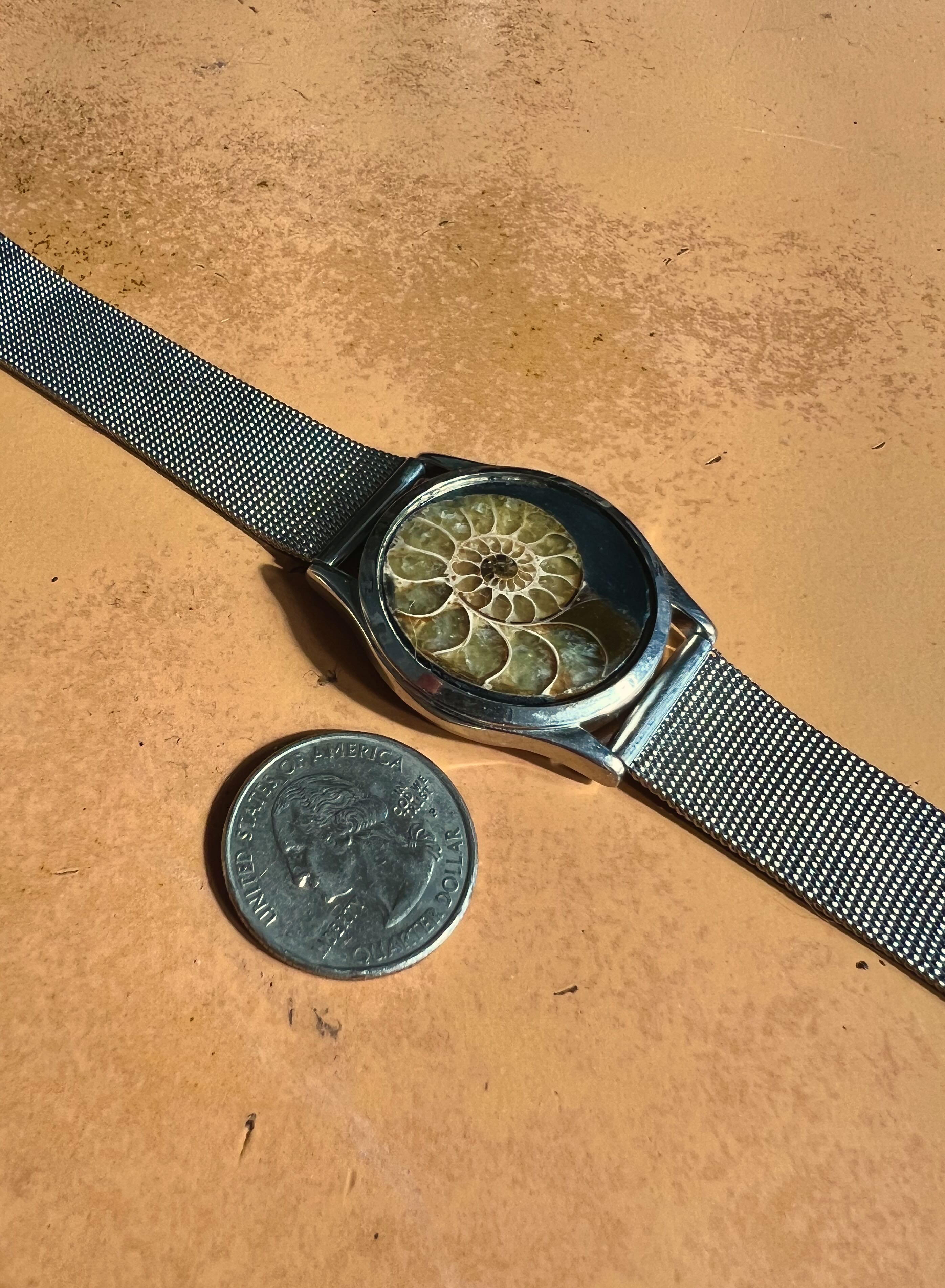 Iapetus — Ammonite Collection 3