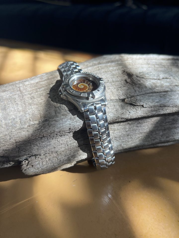 Laurasia — Ammonite Collection 2