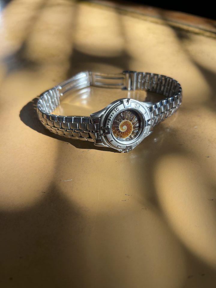 Laurasia — Ammonite Collection 3