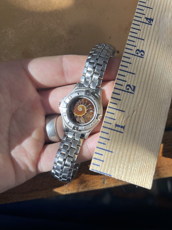 Laurasia — Ammonite Collection 5