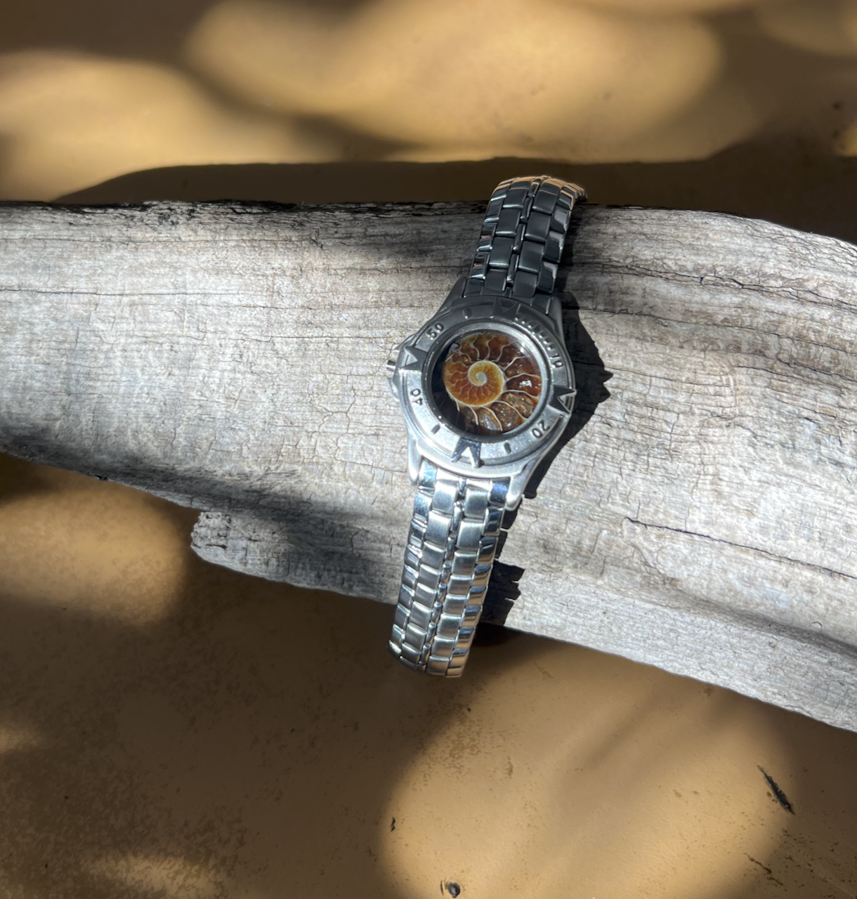 Ammonite Collection No. 67