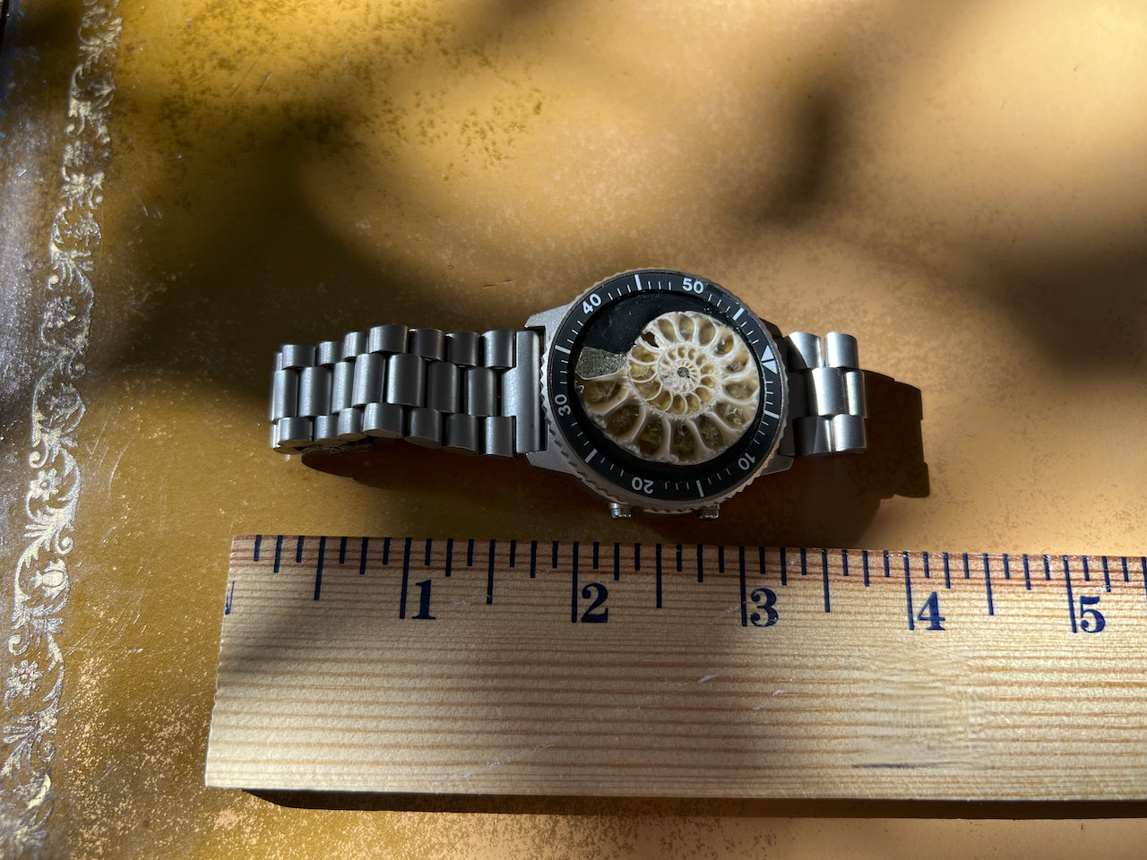 Ammonite Collection No. 14 5