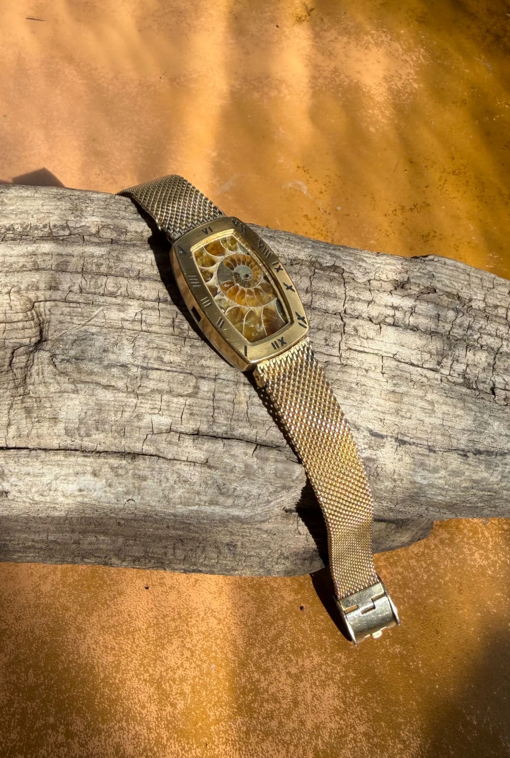 Pangaea — Ammonite Collection