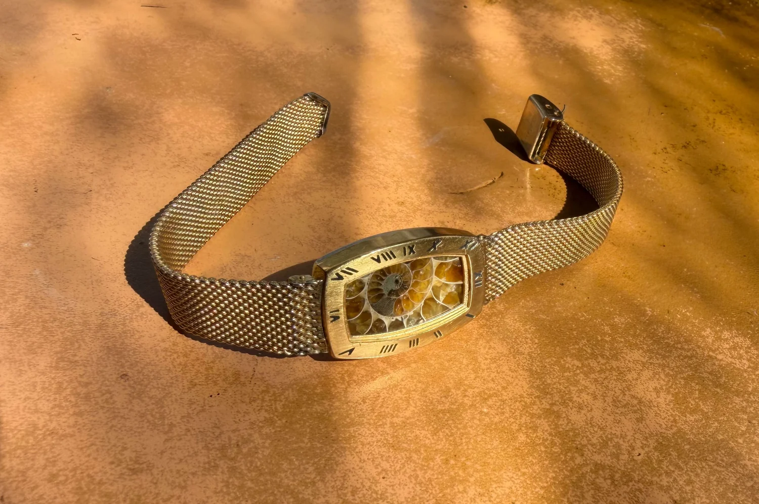 Pangaea — Ammonite Collection 2