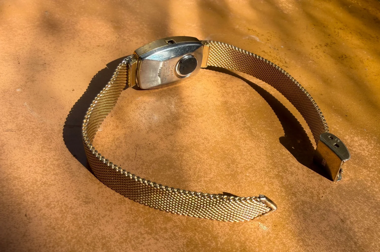 Pangaea — Ammonite Collection 3