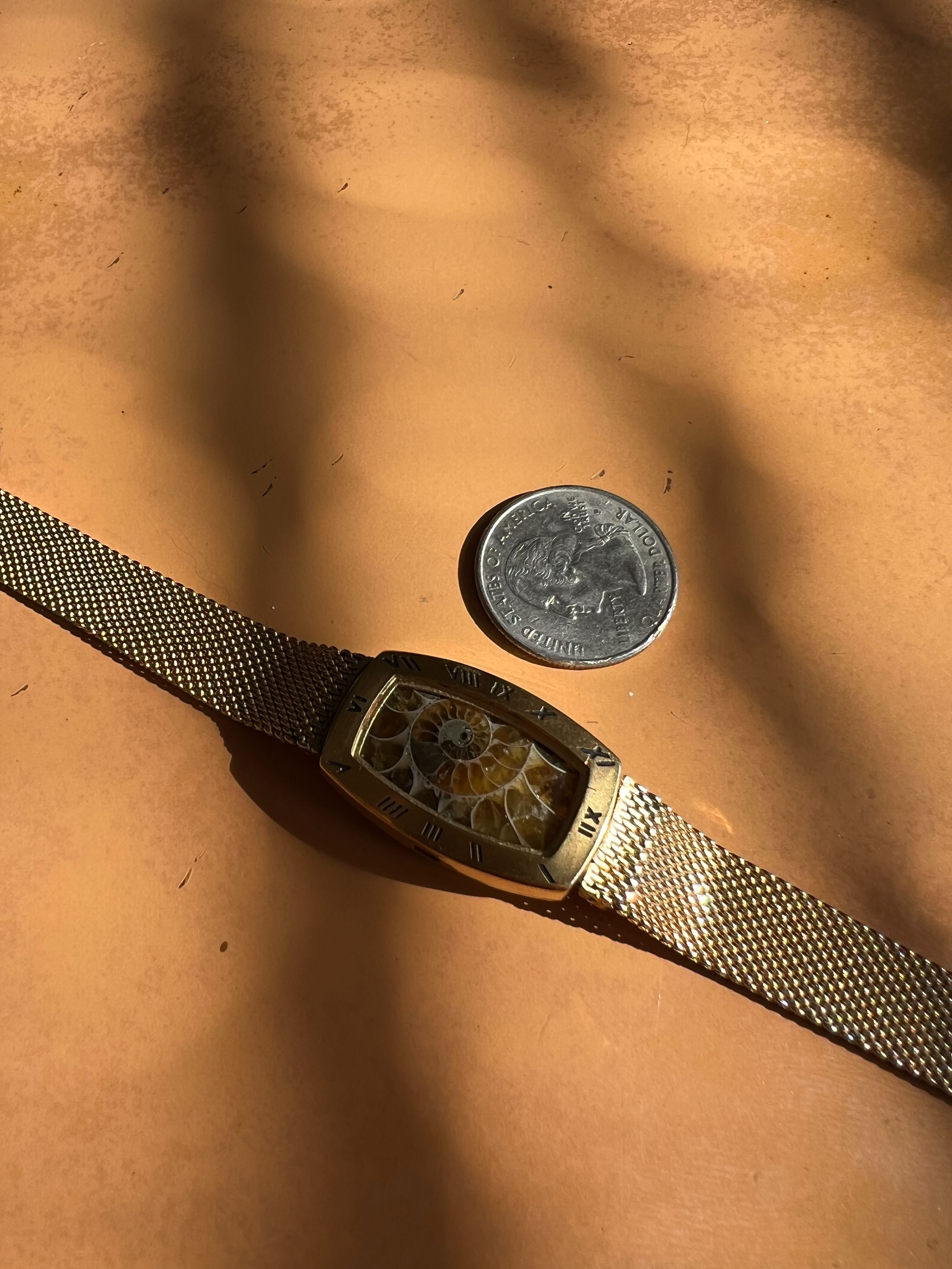 Pangaea — Ammonite Collection 4