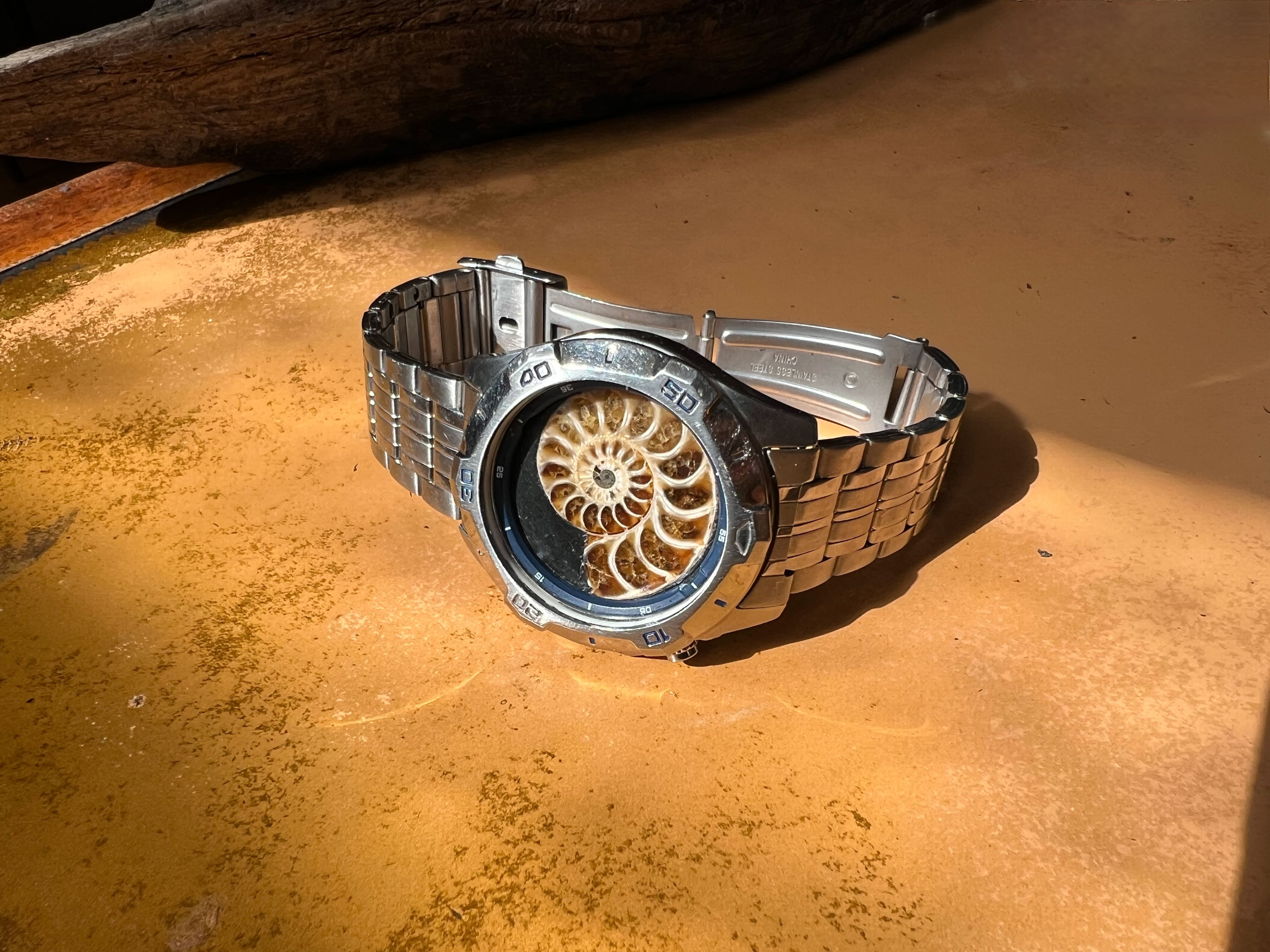 Rodinia — Ammonite Collection 2
