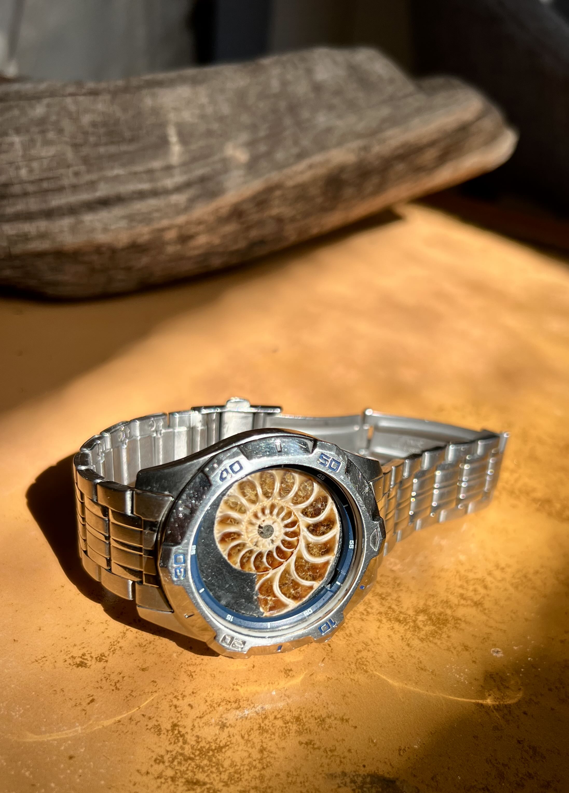 Rodinia — Ammonite Collection 3