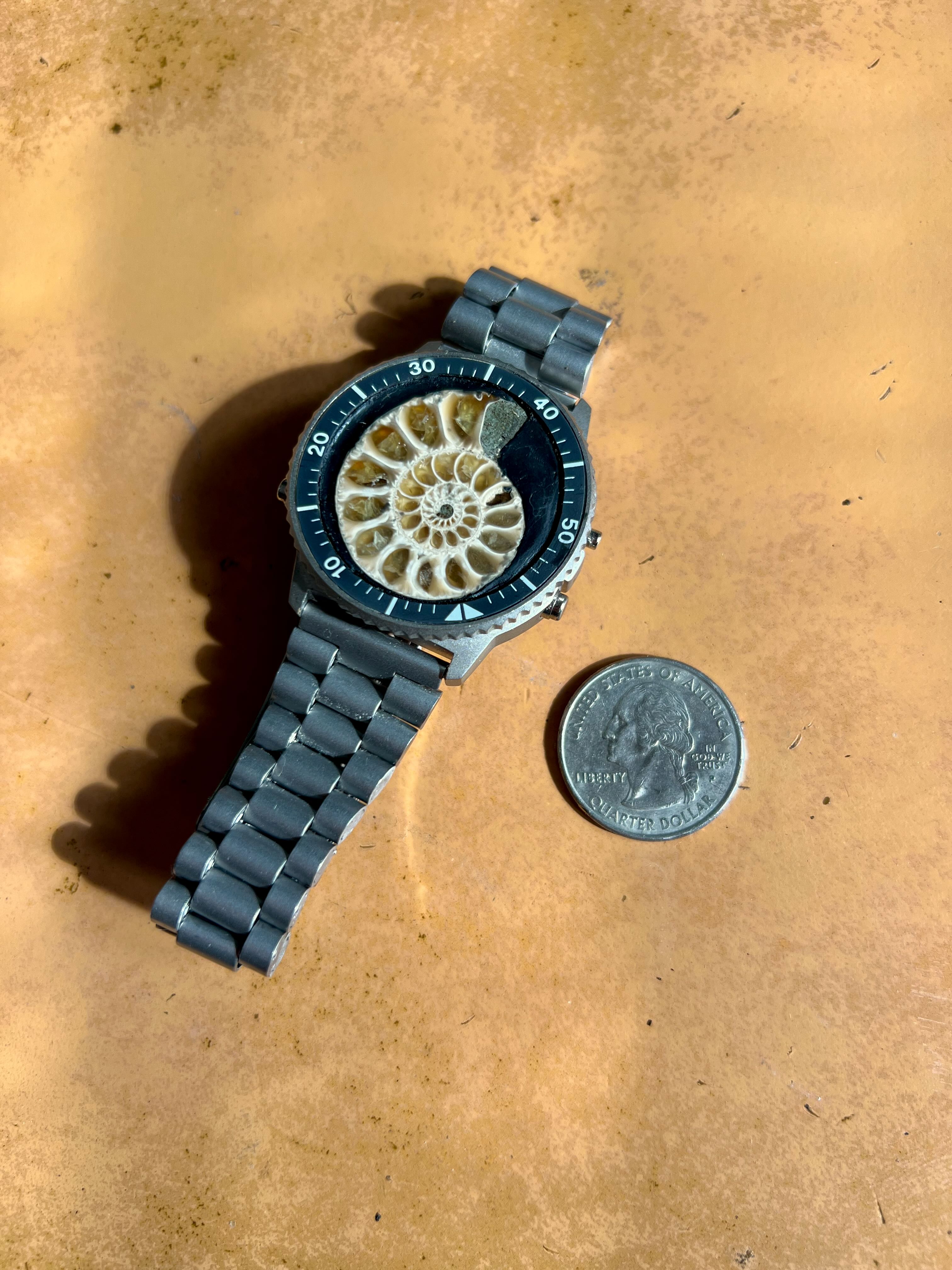 Tethys — Ammonite Collection 5