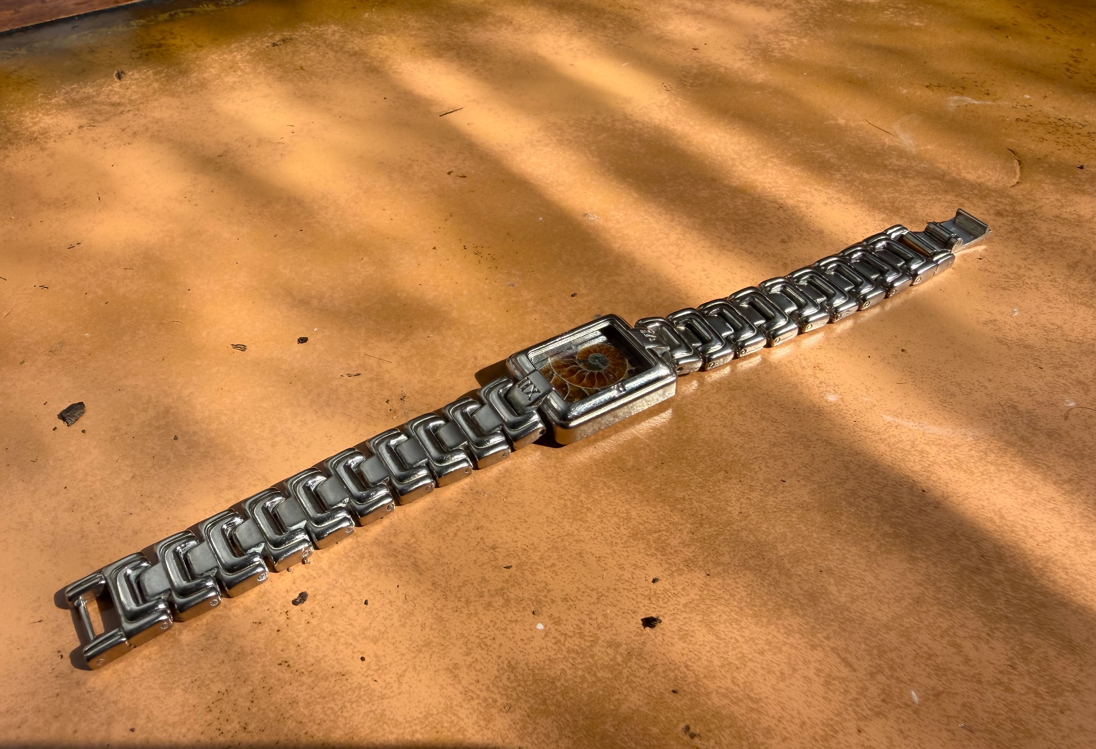 Ammonite Collection No. 58