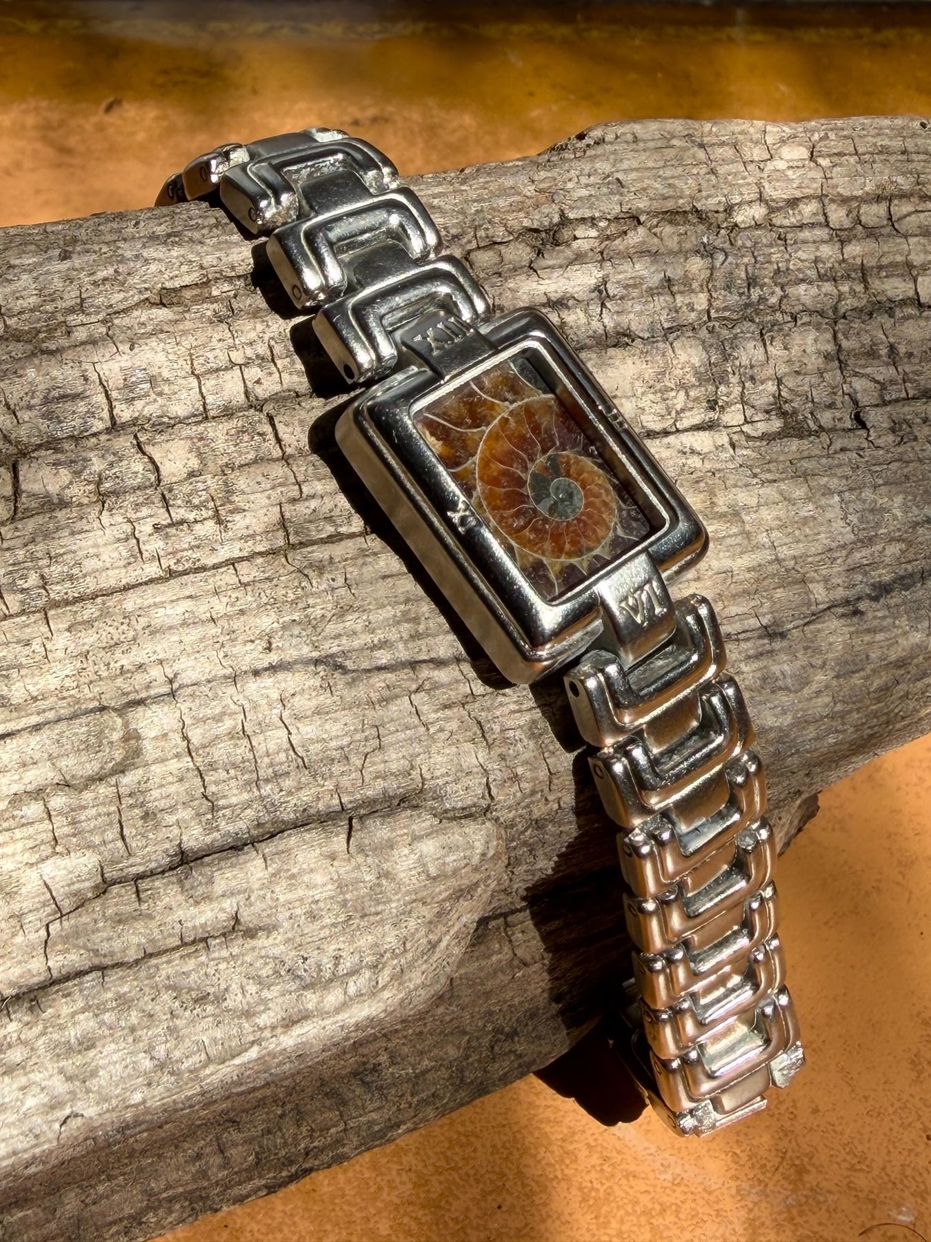 Avalonia — Ammonite Collection