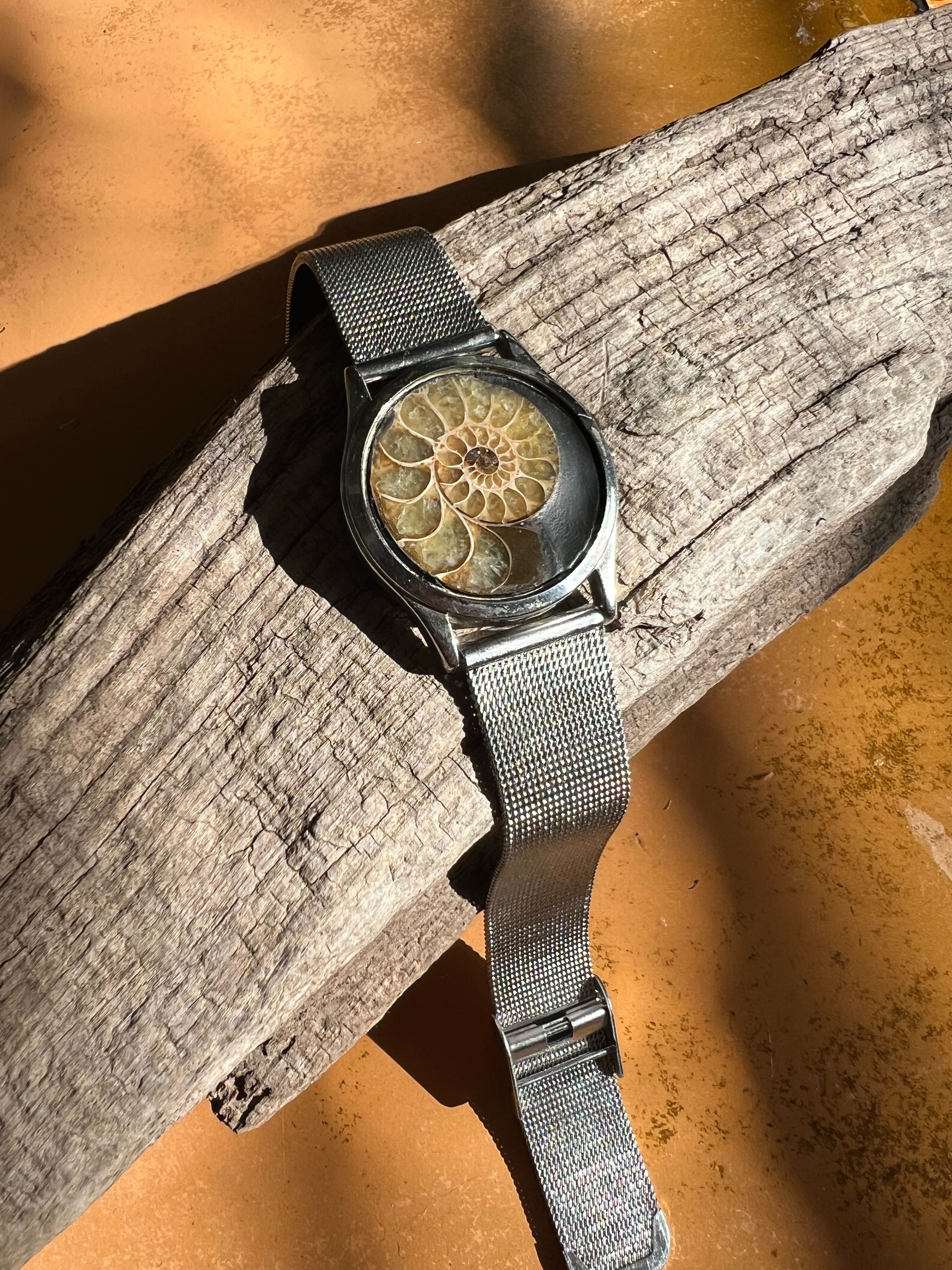 Iapetus — Ammonite Collection