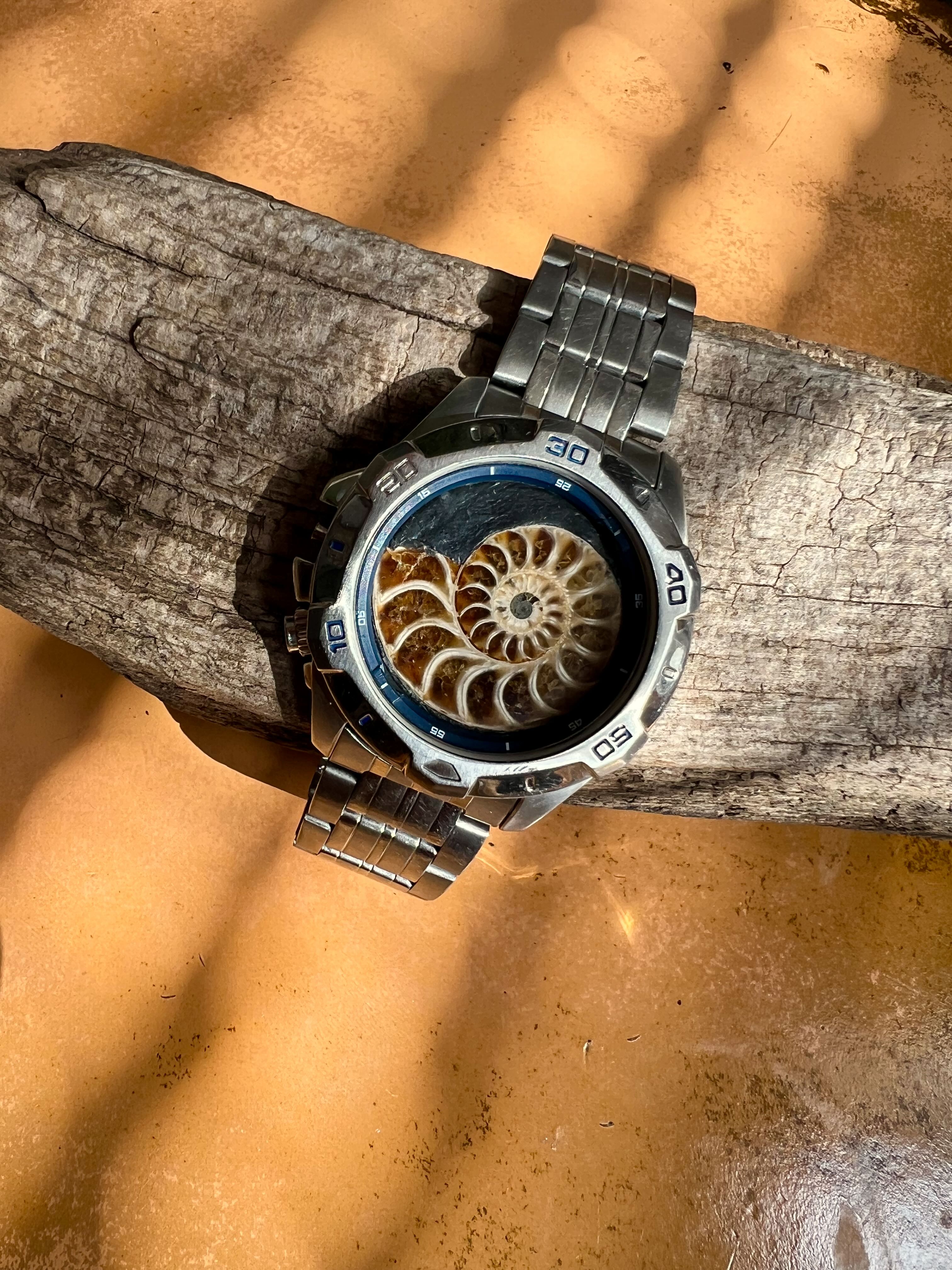 Rodinia — Ammonite Collection