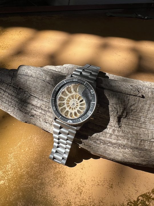 Tethys — Ammonite Collection